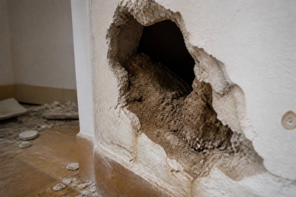 Bruit de grignotage dans un mur : la taupe est-elle responsable ?