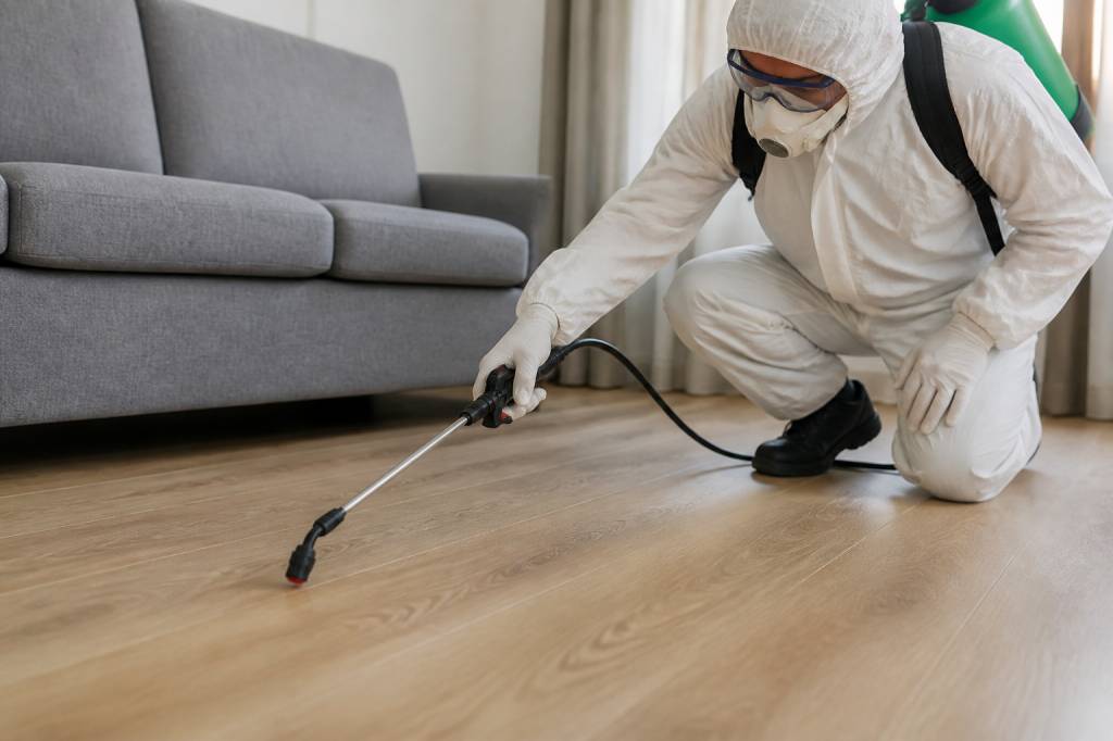 Piqures acariens traitement : solutions efficaces pour protéger votre logement