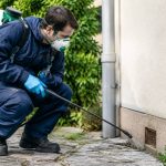 Dératisation montrouge : solutions professionnelles contre les nuisibles et les taupes