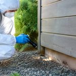 Spécialiste insecte dans le Rhône : solutions professionnelles contre les nuisibles